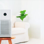 air purifier