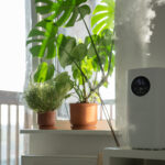 Air Purifiers