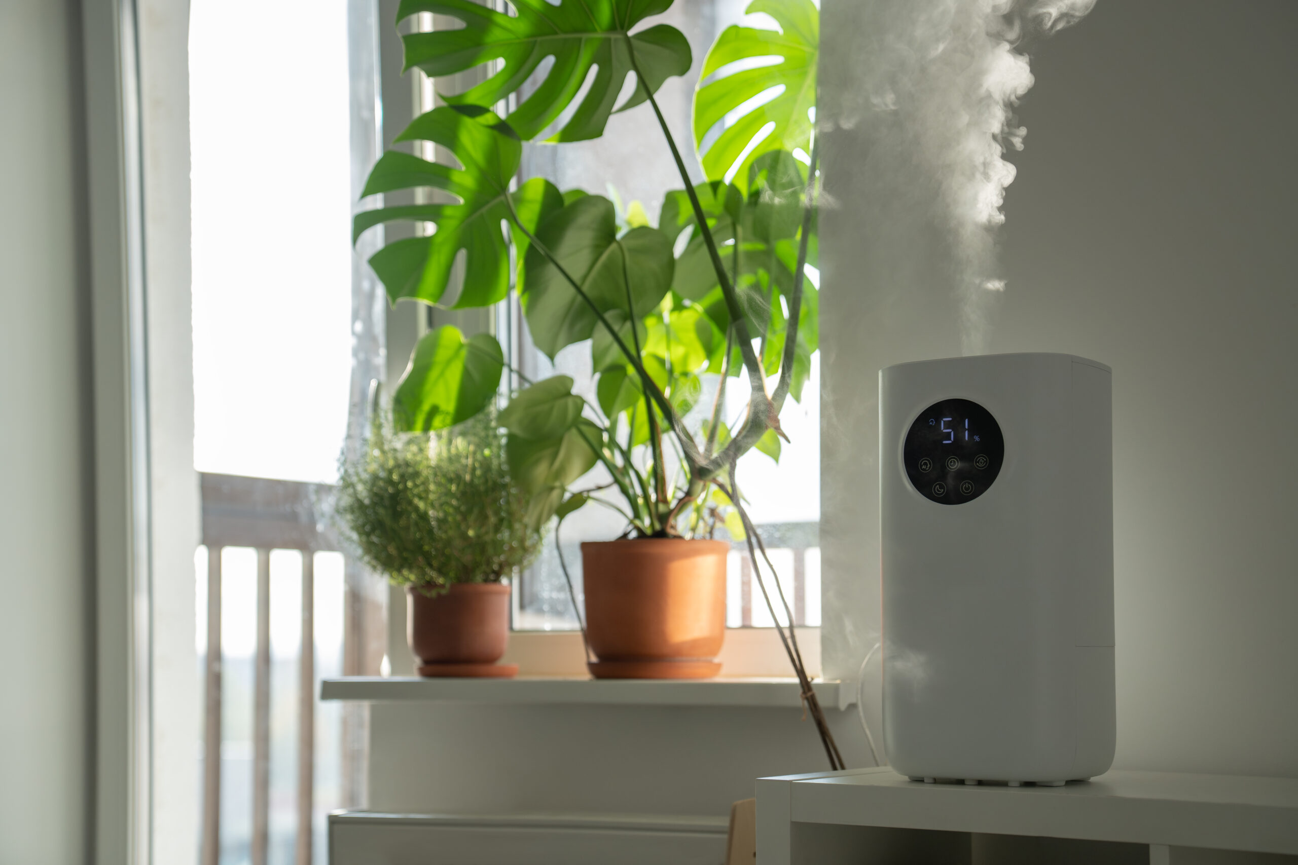 Air Purifiers